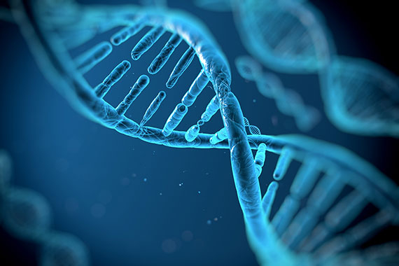 Die Genetik der Parkinson-Krankheit: Bringt Genforschung den Durchbruch für die Parkinson-Therapie?