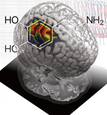 Hirnstimulation imitiert Dopamin-Effekt